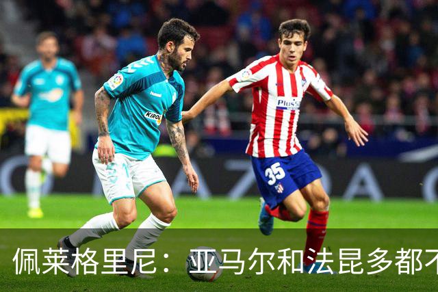 佩莱格里尼：亚马尔和法昆多都不该这么做，但没人应该被罚下