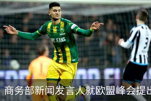 商务部新闻发言人就欧盟峰会提出对华“双轨”思路答记者问
