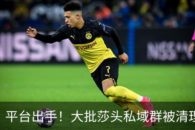 平台出手！大批莎头私域群被清理，饭圈乱象整治，全网纷纷叫好