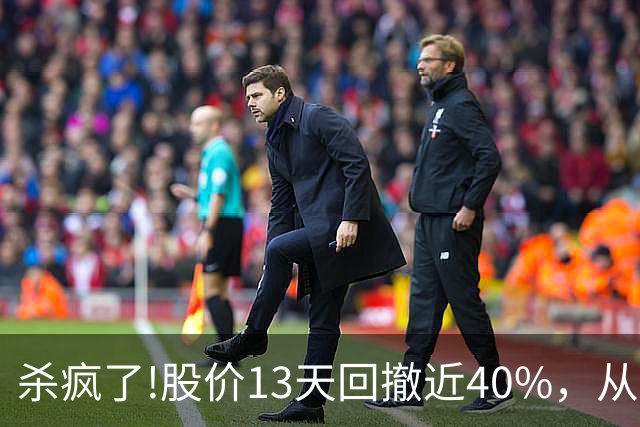 杀疯了!股价13天回撤近40%，从高点248.3砸至153.01!出现12连阴!