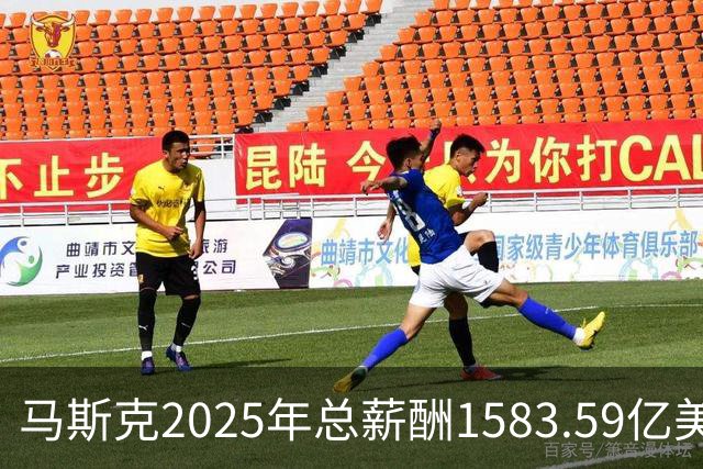 马斯克2025年总薪酬1583.59亿美元 全部以股票奖励形式发放