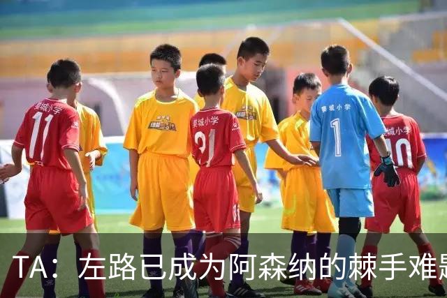 TA：左路已成为阿森纳的棘手难题，马杜埃凯可以作为奇兵使用